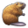 Beaver
