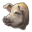 Pigs