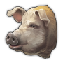 icon_3d_pigs_goods_0.png