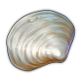 icon_3d_seashells_goods_0.png
